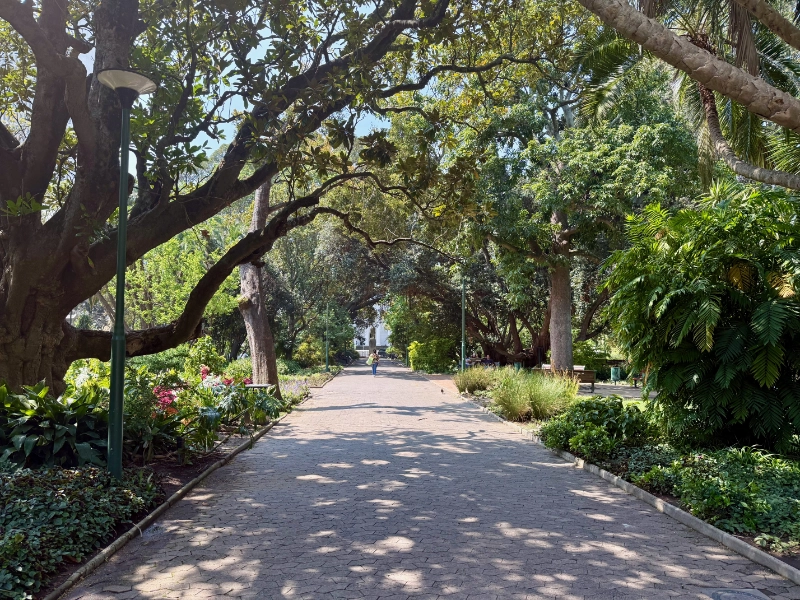 Company’s Garden: Der historische Garten wurde 1652 von der Dutch East India Company angelegt, um Obst und Gemüse anzubauen.