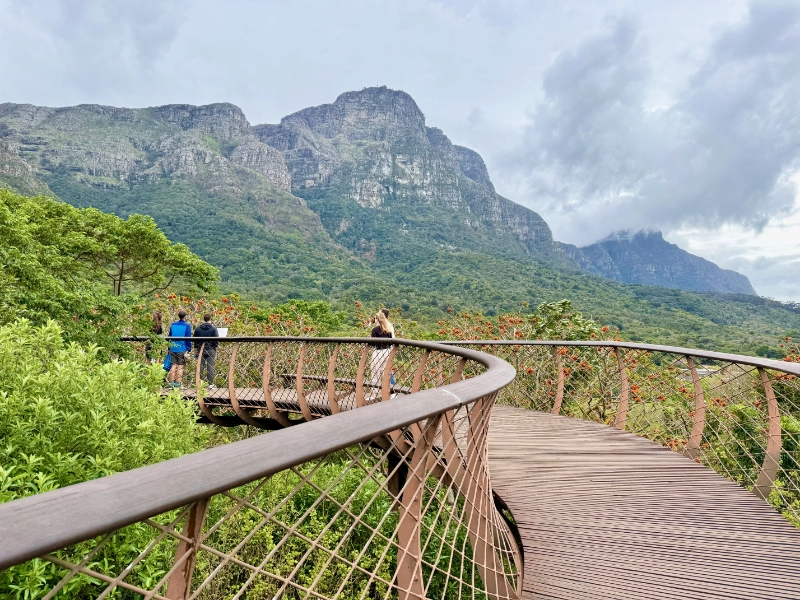 Der 130 Meter lange Tree Canopy Walkway mit Blick auf die Berge und die vielfältige Pflanzenwelt.